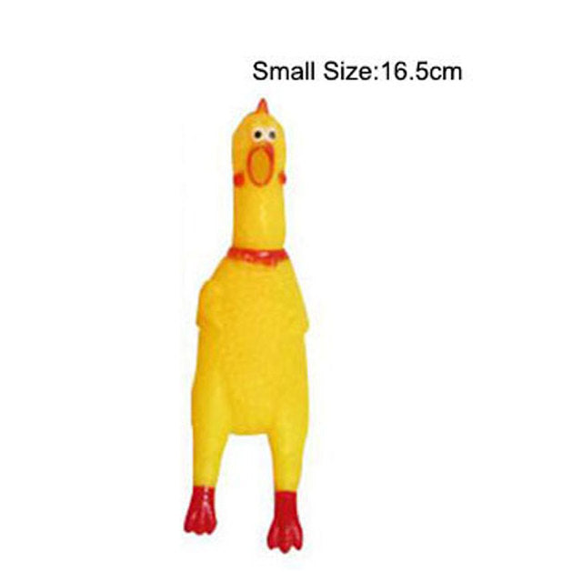 Chew Sound Pet Toys