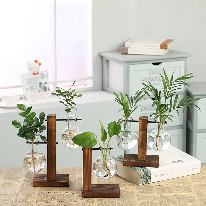 Plant Vases