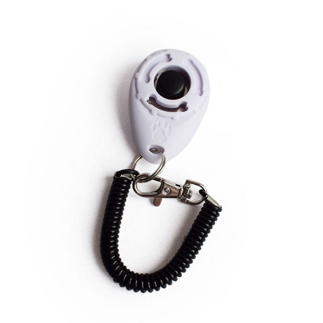 Training Dog Clicker