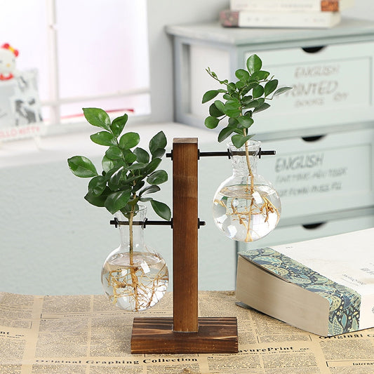 Plant Vases