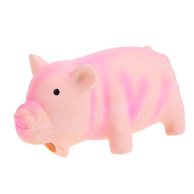 Chew Sound Pet Toys