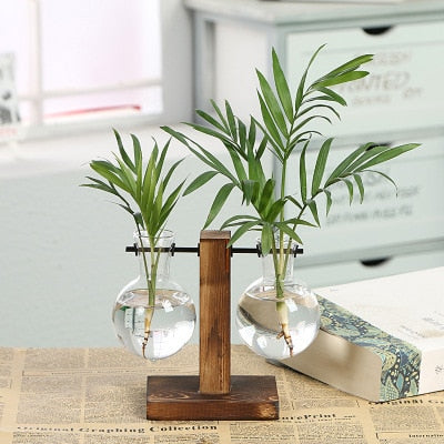 Plant Vases